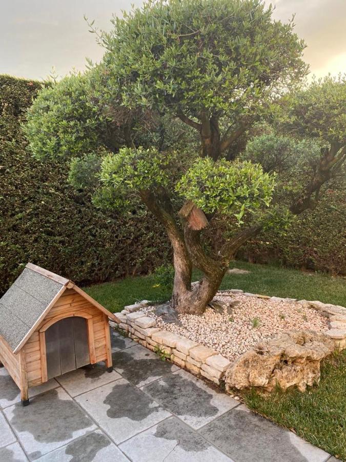 Wooden House Bed and Breakfast Montegrotto Terme Exteriör bild